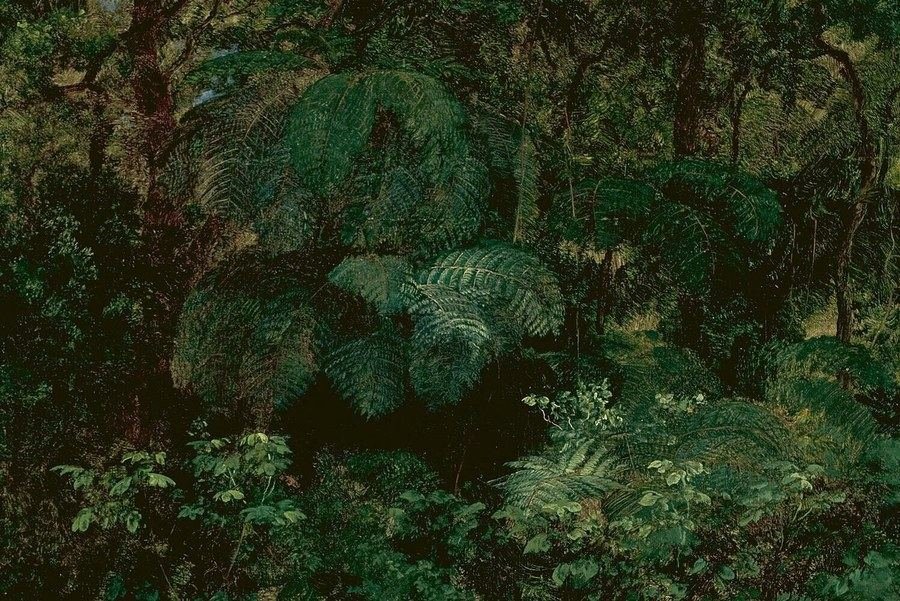Detalhe de uma pintura de mata densa em tons de verde, de José María Velasco, 1875.